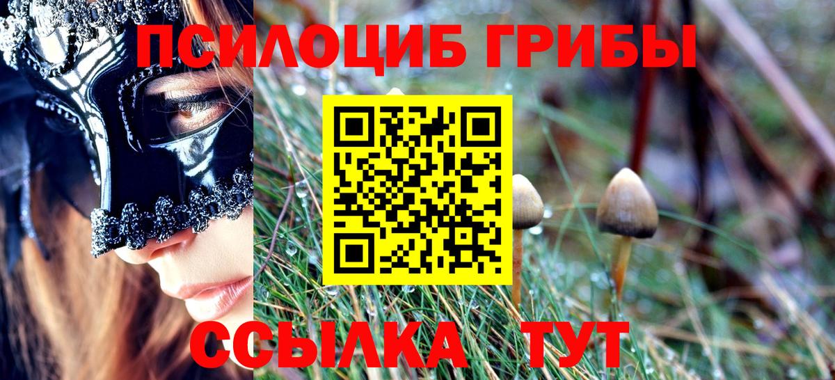 Галлюциногенные грибы прущие грибы Вятские Поляны